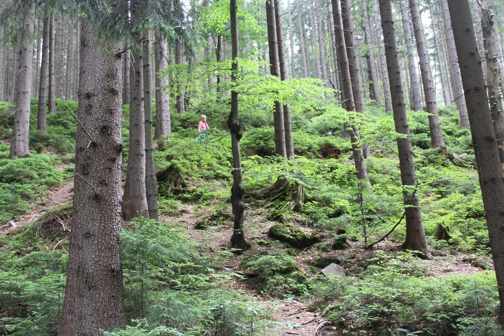 Apartmany U Jirousu Rokytnice nad Jizerou Bagian luar foto