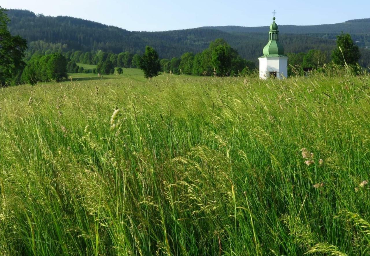 Apartmany U Jirousu Rokytnice nad Jizerou Bagian luar foto